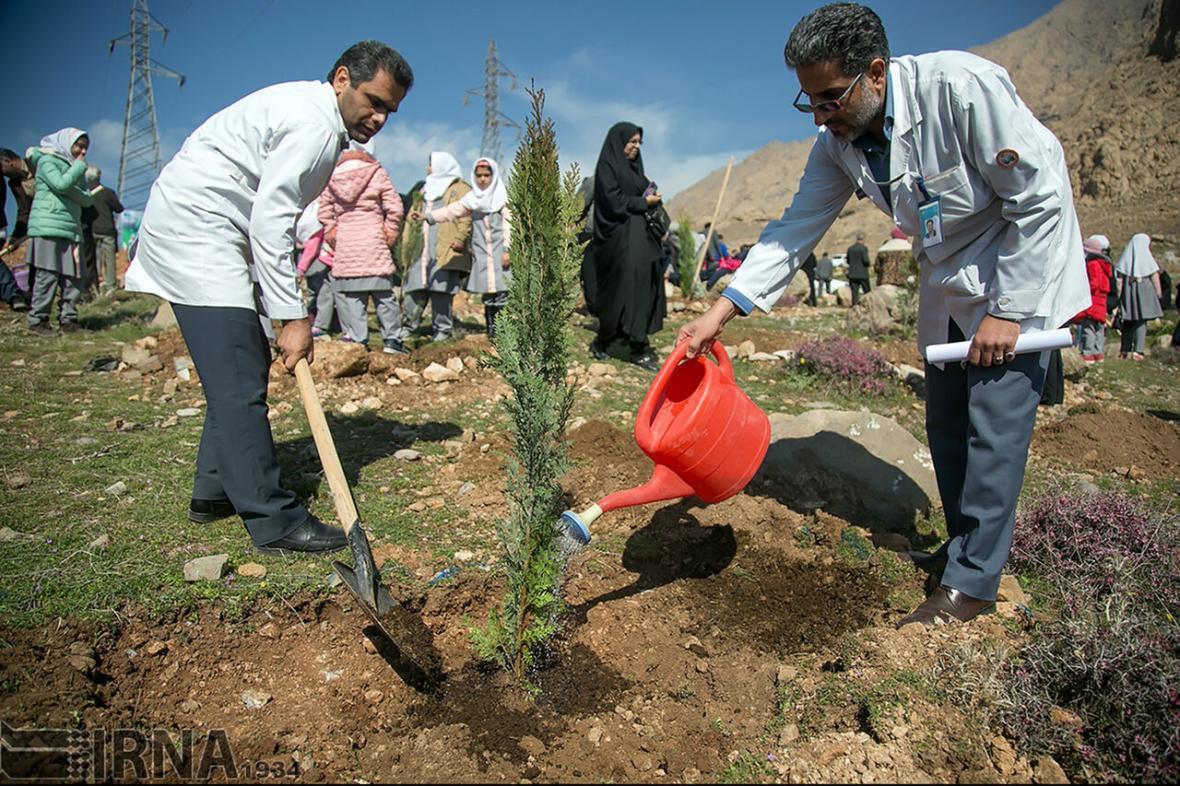 خبرنگاران پرورش70 هزار درختچه برای استفاده در بوستان های قزوین