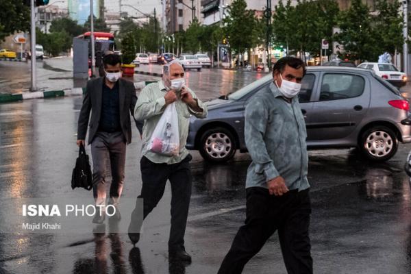 بوشهر تا سه شنبه هفته آینده بارانی است بوشهر تا سه شنبه هفته آینده بارانی است