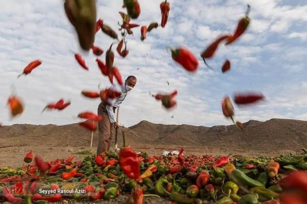 تند و تیزترین مقصد ایران کجاست؟