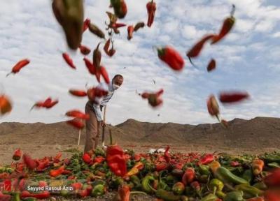 تند و تیزترین مقصد ایران کجاست؟