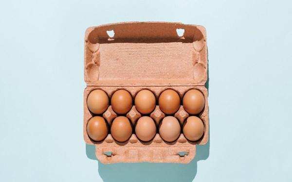 موافقان و مخالفان تخم مرغ چه می گویند؟