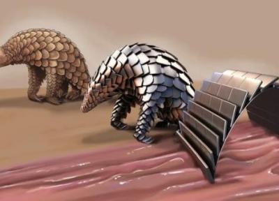 میلی ربات فلس دار به نقاط صعب العبور بدن می رود