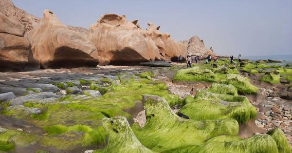 ساحل مکسر ، زیباترین ساحل صخره ای جنوب ایران